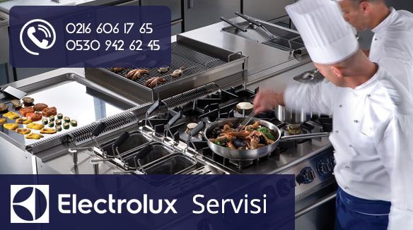 Electrolux Servisi