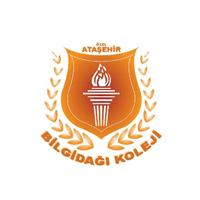 Bilgidağ Koleji